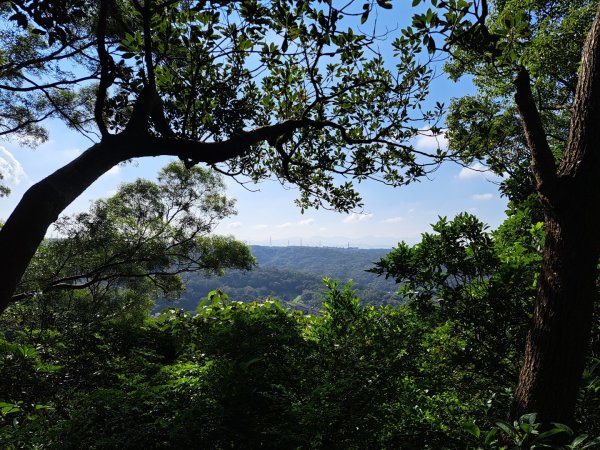 桃園羊稠森林，虎頭山，福山巖，石門山步道3128077