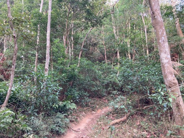 火炎山登山步道2386041