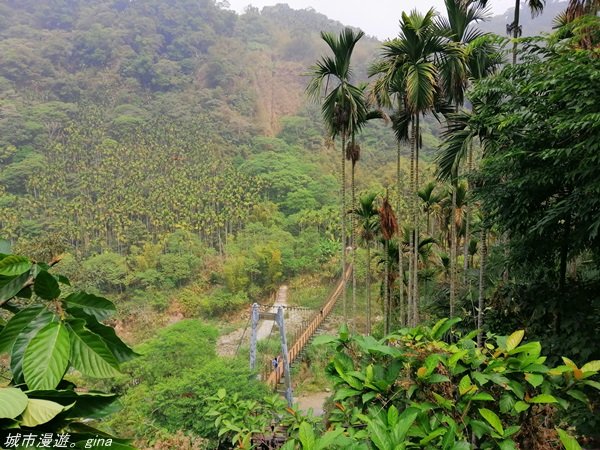 【雲林。古坑】在翠綠的山巒間散散步。 華山小天梯x情人橋封面