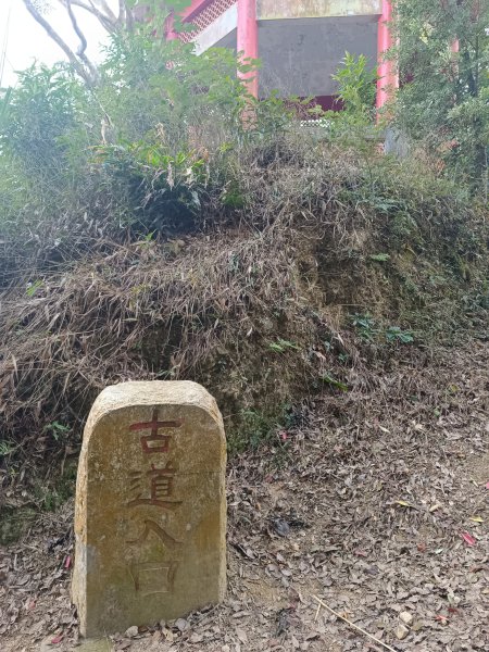 鳴鳳山古道2983679