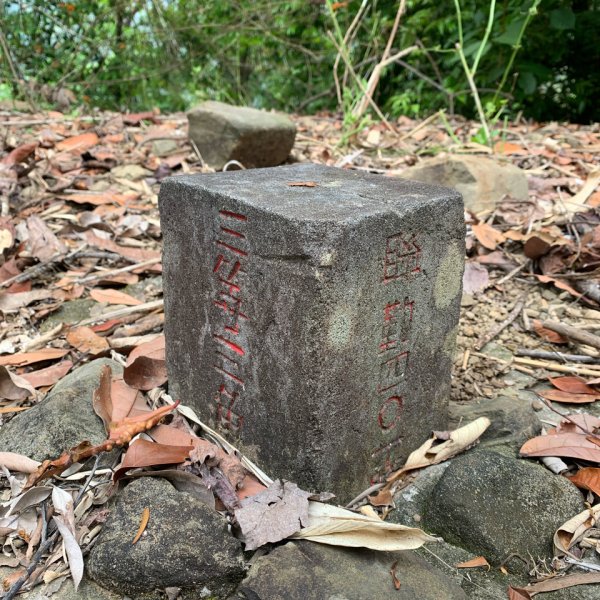 20250403高雄頂荖濃山2757151