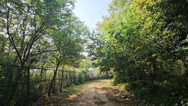 鳳山縱走五連峰3026917