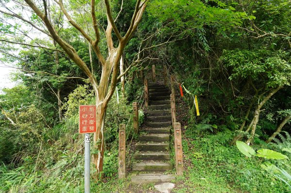 新北 新店 獅仔頭山、粽串尖、大丘田山2804282