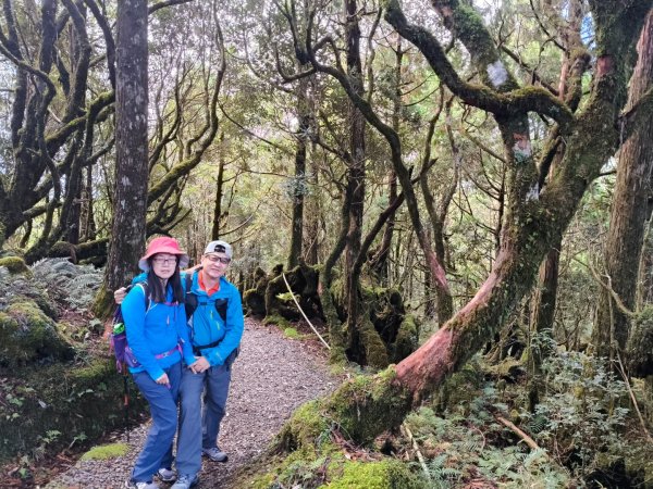 翠峰湖望洋山步道2940129