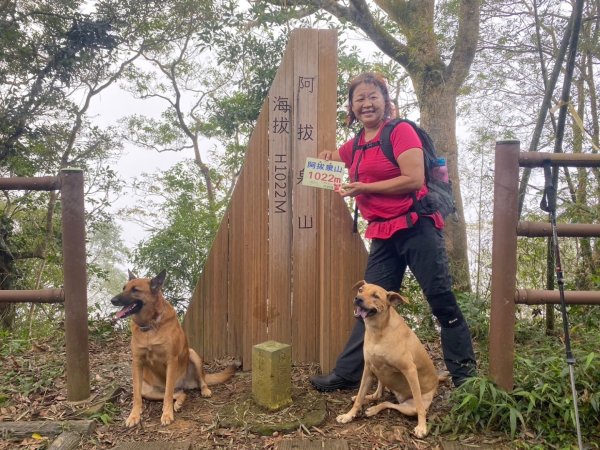 阿拔泉山、觀音石山、紅南坑山、獨立山2650850