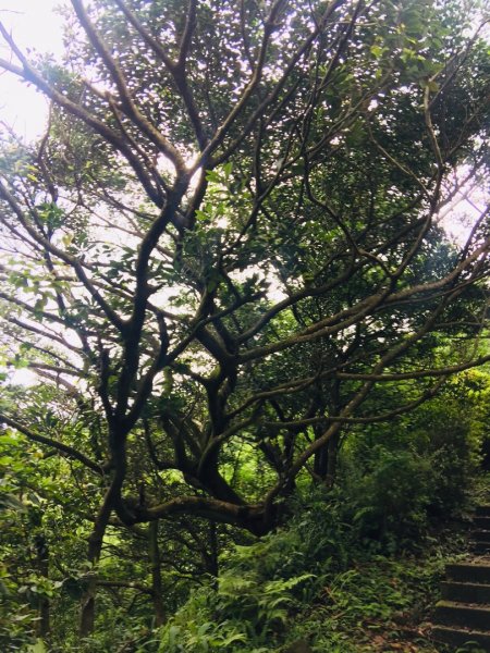 淡蘭北路楊廷理玩泥巴（瑞芳-雙溪）587217