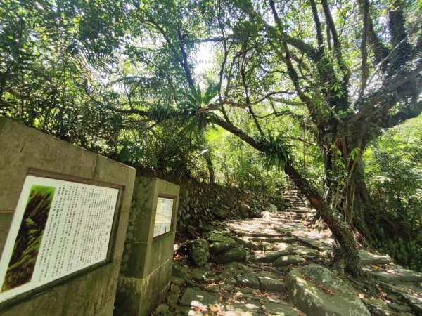 草嶺古道-福隆到大里一日遊2552288