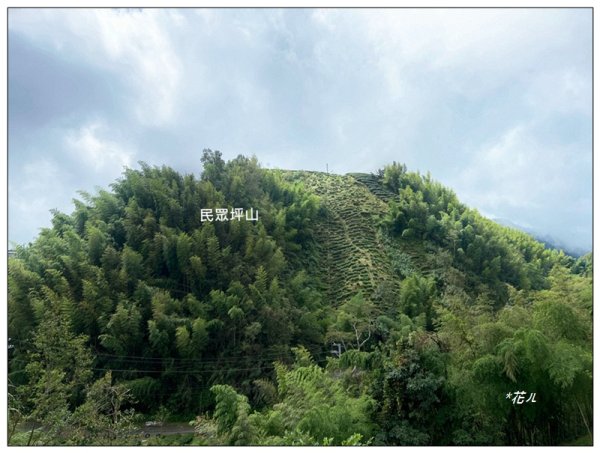 樟空倫山、大崙頭山、貓冬望山、民眾坪山 連走2839047