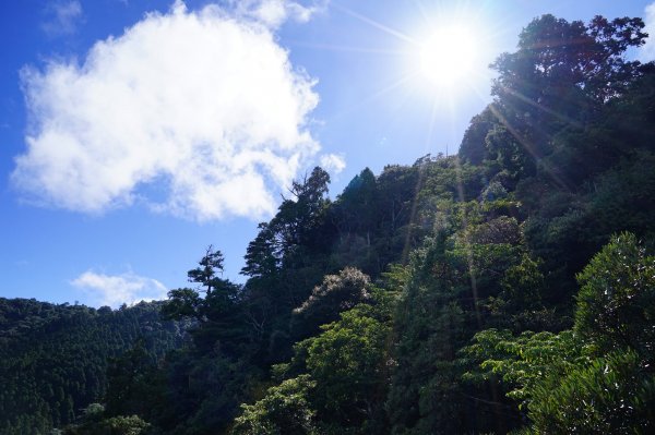 新竹關西鎮 水田林道之貴妃&那結山連走1539697