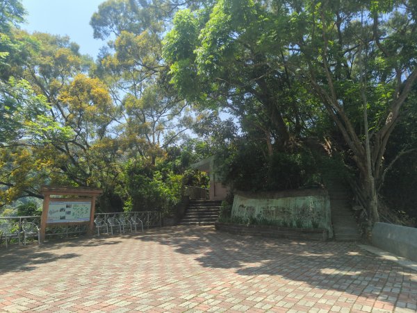 2026.05.02－聚興山步道3045930