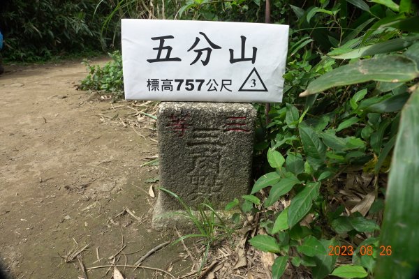 基隆 頂寮山、龍門山、五分山、頂子寮山2265953