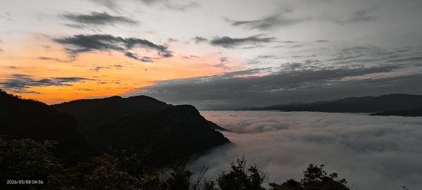 #翡翠水庫壩頂 #月亮 #日出 #雲海 #藍腹鷴母鳥 5/8&133050262