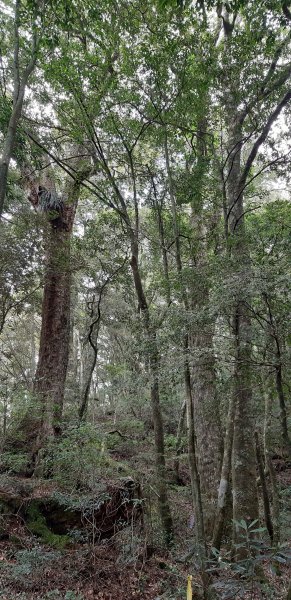 白姑大山之旅743418