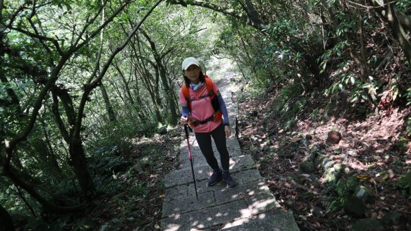 大粗坑古道連走小粗坑古道O型登山健行趣(步道)2160244