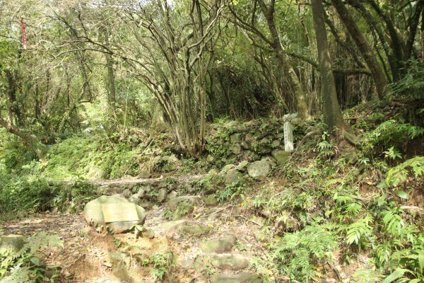 淡蘭古道北路坐山望海1253882