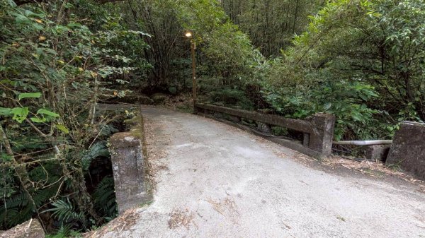 114.10.11石荀尖之旅2912037