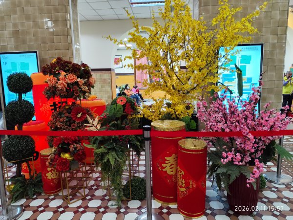 【新春賞櫻樂】平菁街42巷、宜蘭頭城火車站、二二八和平公園、東湖樂活公園3007707