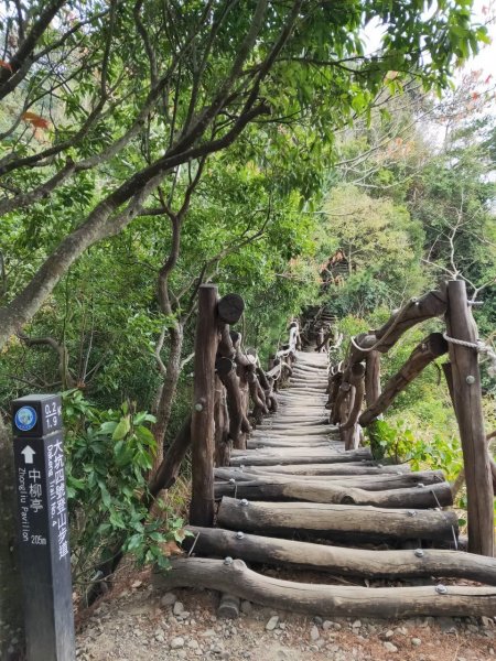 小百岳(41)-頭嵙山(四號步道)-20200209~【2020全家總動員~28分之06】1716145