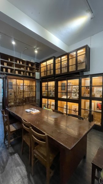 雨天備案💙 台灣博物館的古生代館-台大動植物館免費參觀-北投♨️季2807501