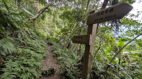 115.04.11啦卡步道-大刀山之旅3034641