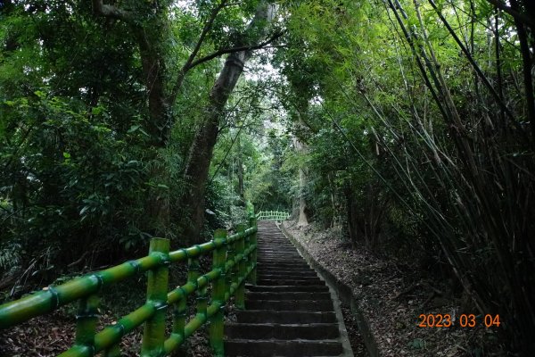 新竹 芎林 飛鳳山、中坑山、大板根、石壁潭山2052601