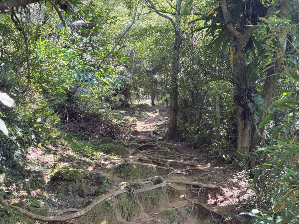 五分山系-望古瀑布段2896294