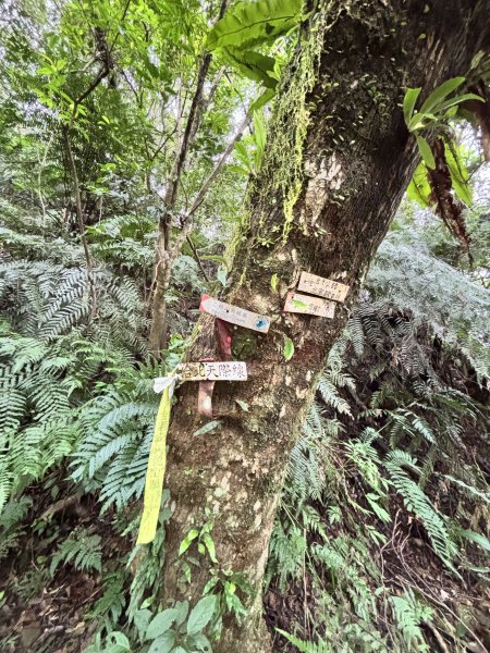 二格山、南邦寮山2941695