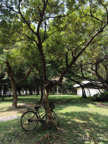 前港公園、大安森林公園、大港墘公園【走路趣尋寶】【臺北健走趣】2591718