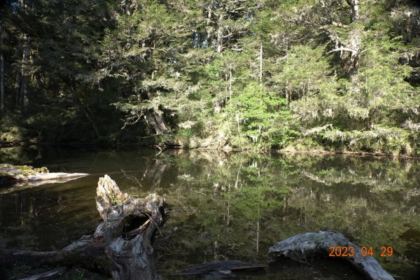 南投 仁愛 武法奈尾山2133776