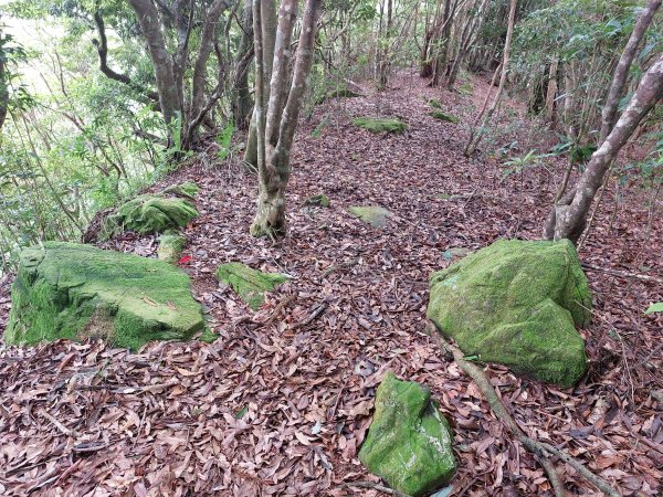 井步山1805925