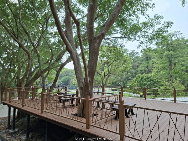 《台中》綠色隧道｜大肚環保公園登山步道O繞202604183038491