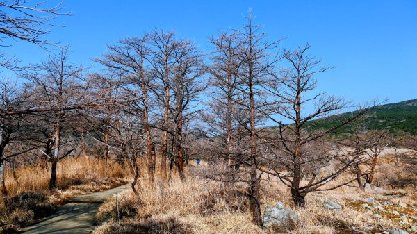 鹿兒島韓國岳,白鳥山3028345