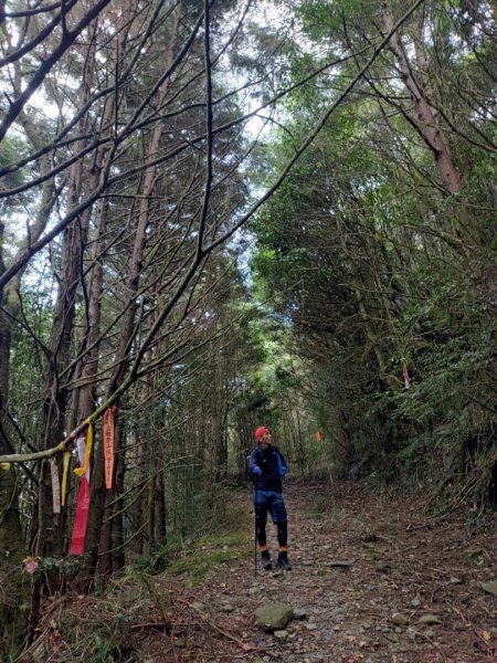 🥵20231107南一段會繞過🤷忘記的溪南山2340105