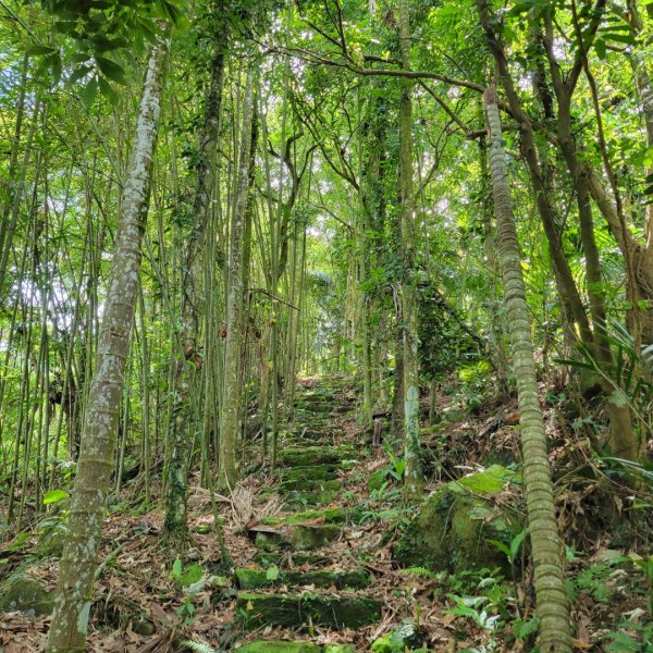 金獅村步道（金獅古道）1732732