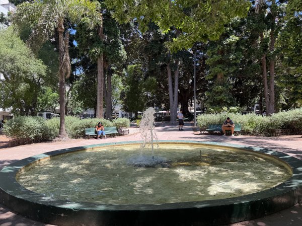 [紐約馬之行-59] 2025_1114 卡洛斯·泰斯植物園-上2953903