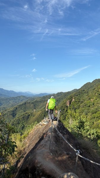 岩壁上的花、艷紅鹿子百合（12868985