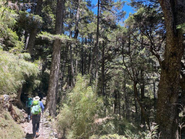 【健人HIKERS】兩天一夜玉山主峰、玉山西峰2769135