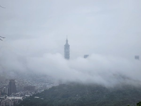 連走北縱678，喜見雨落桐花雪2129221