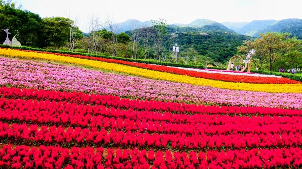 北投社三層崎3010991