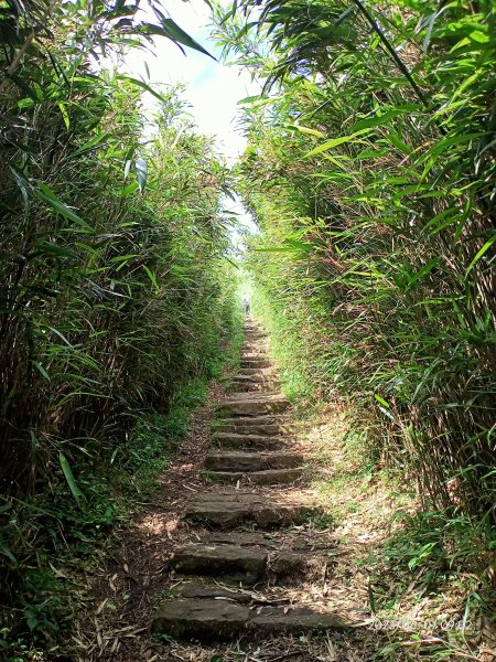 鞍部→大屯山北、主、南、西峰連走→面天坪→清天宮【走遍陽明山】2176961