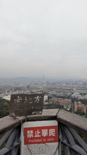 劍潭山親山步道2676448