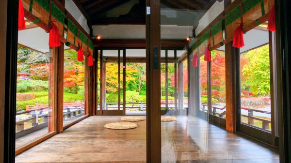 岩手縣藤原之鄉2930096