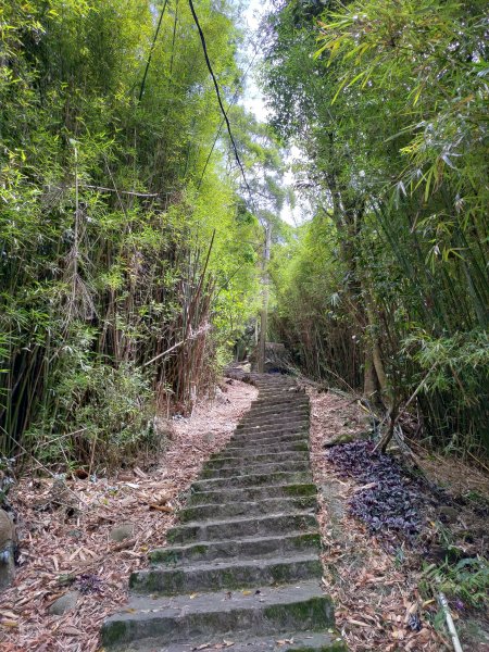 中正山步道-竹子湖來回1361640