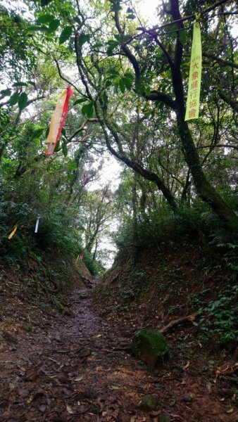 璀璨百年淡蘭古道～崩山坑古道、溪尾寮山、保城坑古道、虎豹潭步道O走1313442