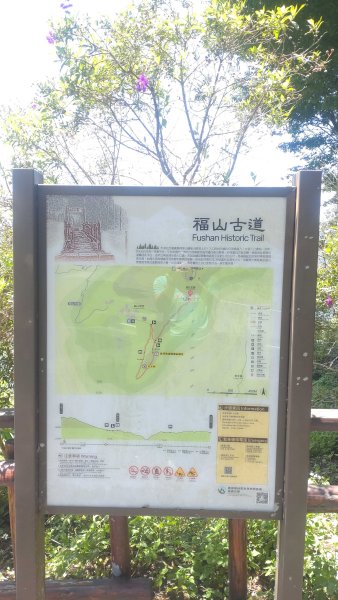 20250510福山古道隴頂步道健行:2791506