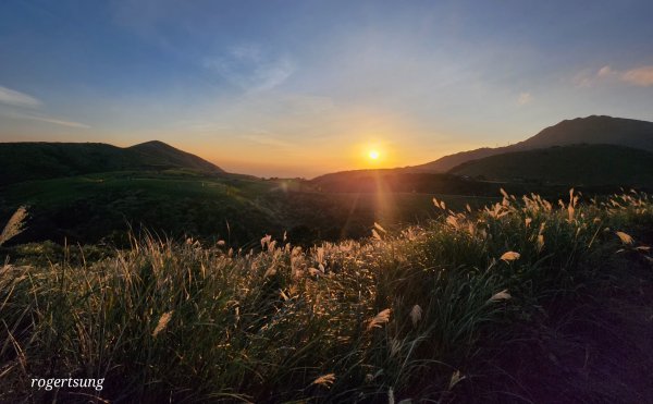 秋芒夕落，譜成令人心醉的浪漫擎天崗2656541