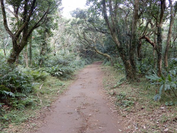 台北大縱走之大屯群峰527095