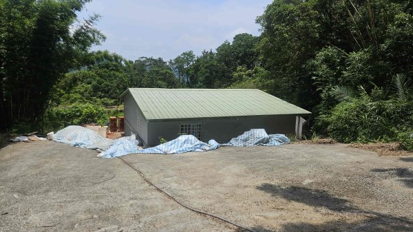 20250625遠望坑口-遠望坑崙-176峰-陸軍路礦864-遠望坑山O型2826172