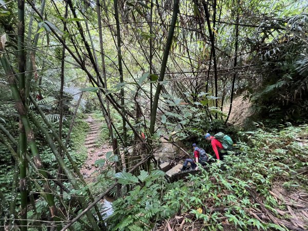 [微笑山線_第十二段] 2025_0803 五分山系_嶺腳寮山2851320