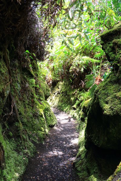 夏威夷火山國家公園613277